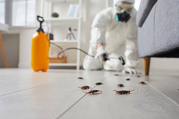 Commercial Kitchen Cockroach Control in Prairie Creek